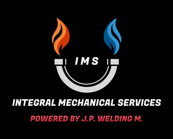 IMS: Integral Mechanic Service image 1