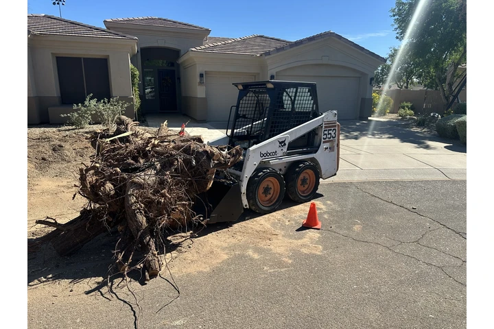 habdyman en general image 3