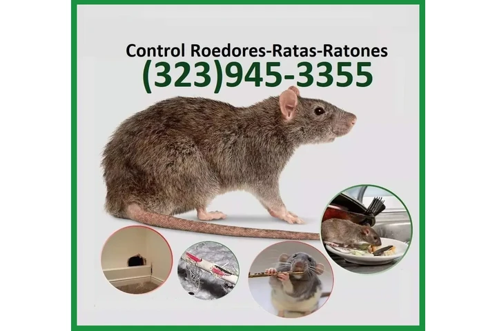 BEST EXTERMINATORS LOS ANGELES image 9