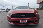 $15999 : 2015 Mustang EcoBoost thumbnail