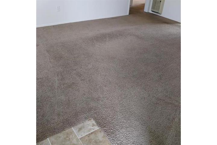 The Best Carpet Cleaning In SD image 1