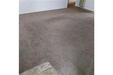 The Best Carpet Cleaning In SD en San Diego