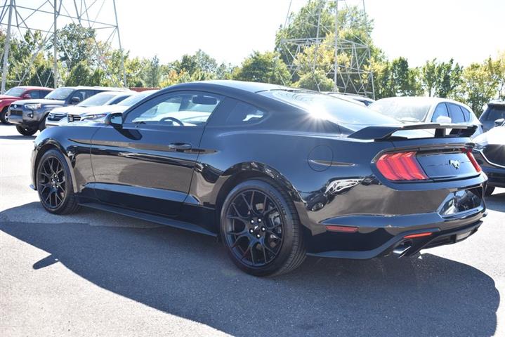 2018 Mustang EcoBoost image 7