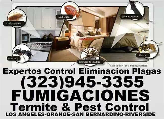 PEST CONTROL (323)945-3355 image 10