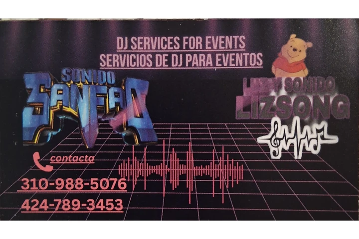 Dj  sanfao  & Liz song image 3