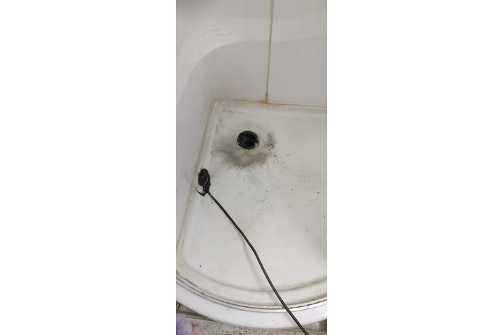 PLUMBING ALL AREA 323 image 2
