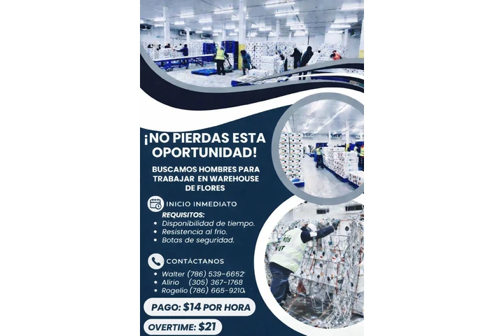 Se busca personal image 4