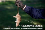 RODENTS PEST CONTROL SERVICES. thumbnail