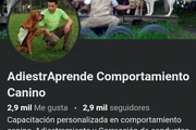 Adiestramiento canino en Bogota