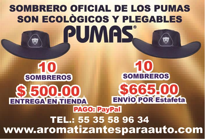 $300 : PARA LOS PUMAS UNAM SOMBREROS image 5