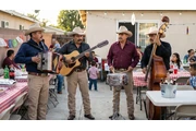 Chirrines area de Tulare CA en Tulare