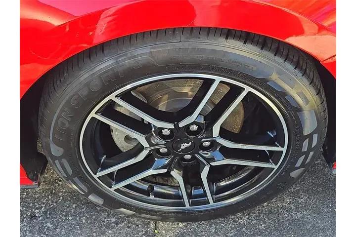 $16490 : Ford Mustang 2019 EcoBoost P image 9