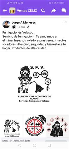 Fumigaciones Velasco image 1