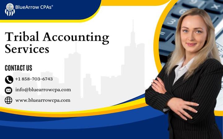Tribal Accounting Services image 1