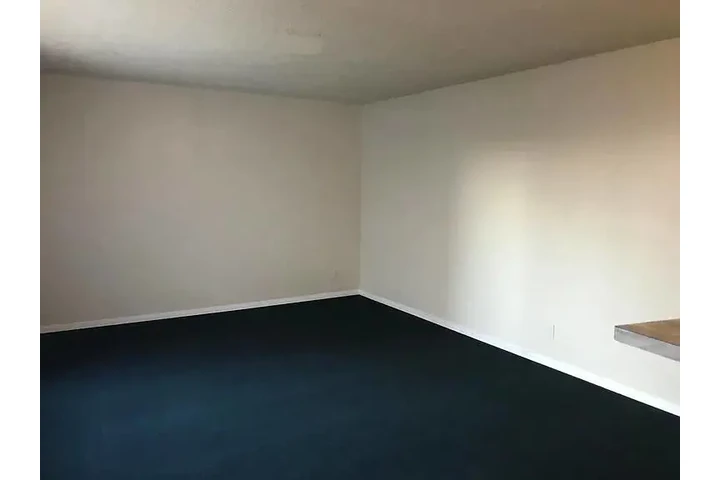 $600 : Nice condo image 5
