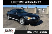 Ford Mustang 2002 Deluxe 2dr