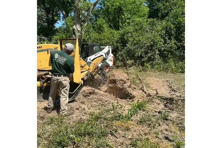 El Costeño Tree Service image 5