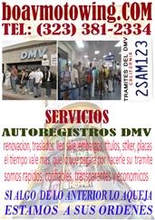 DMV  TODO TIPO DE TRAMITES image 1