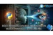 Python Training in Bangalore en London