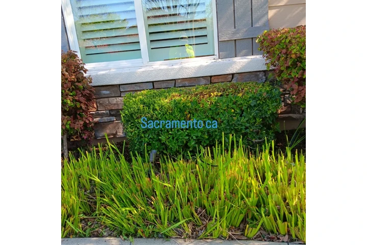 Jardinero image 2