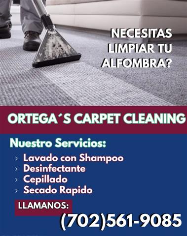 CARPET CLEANING ORTEGA image 3