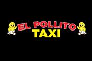El Pollito Taxi en Los Angeles