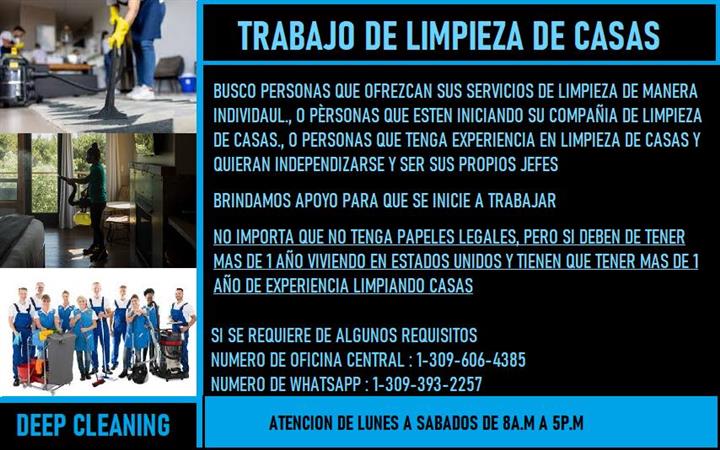 TRABAJOS DE CLEANING SERVICES image 1