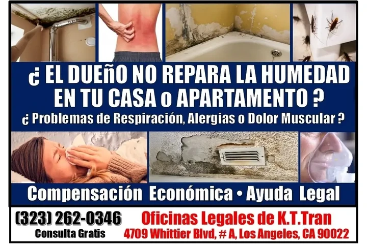 █►ACCIDENTE DE AUTO O TRABAJO? image 6