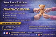 Guardia y Custodia en Mexico DF