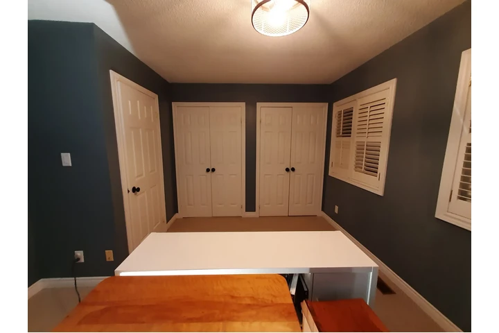 Professional Painting Service image 8
