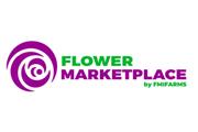 Order wholesale flowers online en Miami