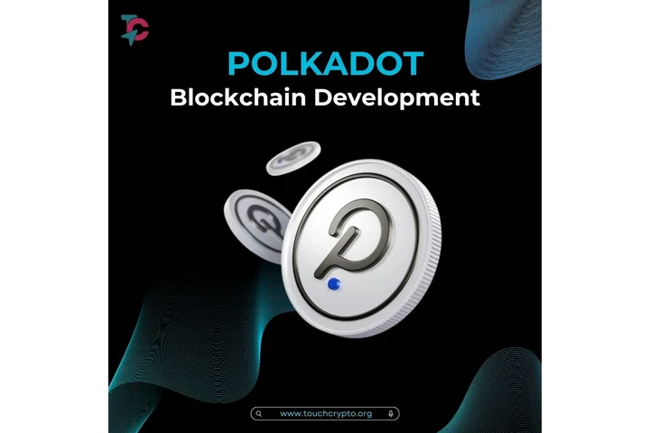 Polkadot Blockchain image 1
