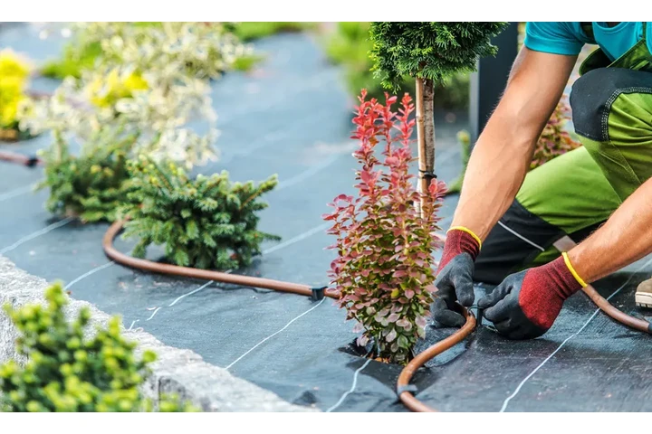 🌿 Landscaping Services  🌳 image 4