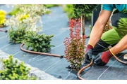 🌿 Landscaping Services  🌳 thumbnail