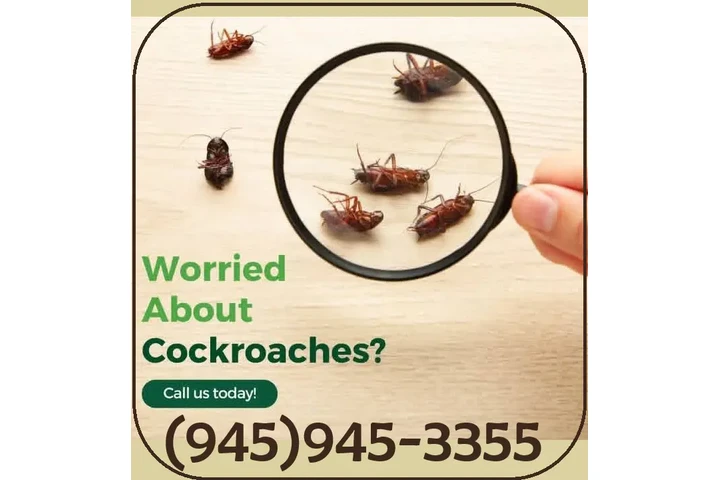 FUMIGACIONES HUNTINGTON PARK image 5