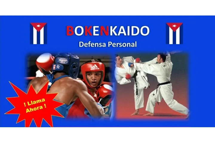 Defensa personal image 2