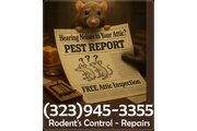 24/7 Rodent's Control-Repairs. en Los Angeles