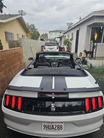 $13000 : Mustang convertible image 1