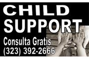 •►CAMBIE SU CHILD SUPPORT en Los Angeles