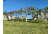 Xpu Ha Beach Excelente Terreno thumbnail