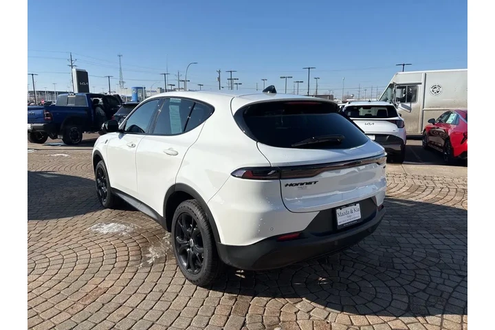 $24998 : 2024 Hornet GT Plus image 7