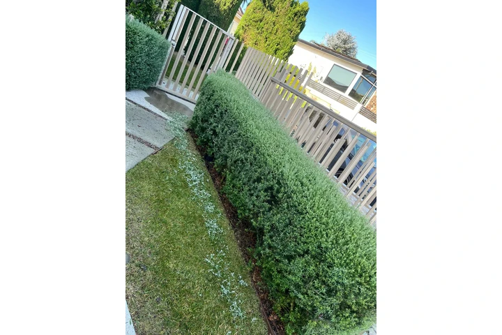 I offer my gardening services image 1
