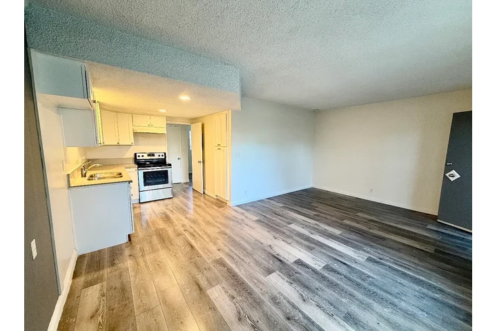 $1695 : The Seville Terace image 6