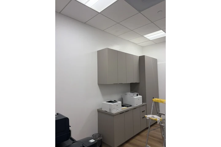 Pintor profesional image 2