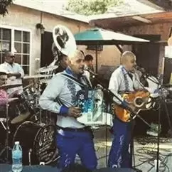NORTEÑO BANDA CON TUBA Y DJ < image 1