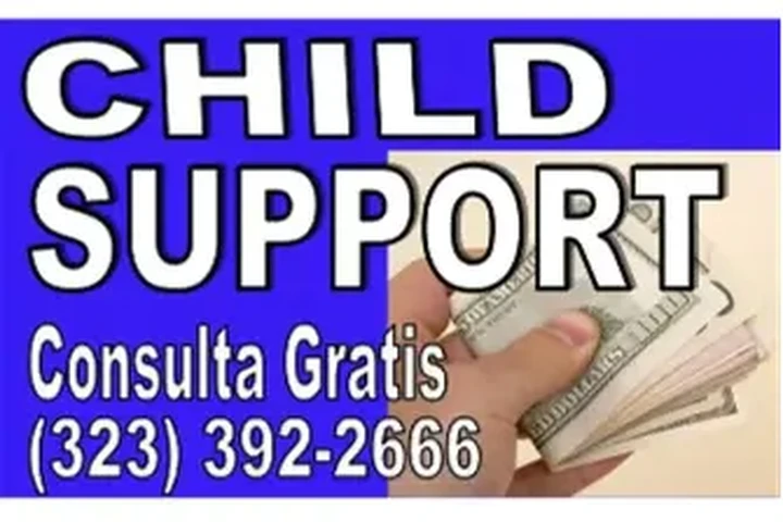 █►CUSTODIA►CHILDSUPPORT►VISITA image 3