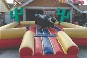 El Toro Indomable Party Renta thumbnail 4