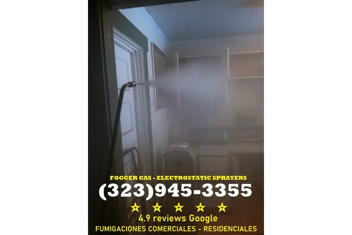 Urgent Pest Control - Same-Day image 7