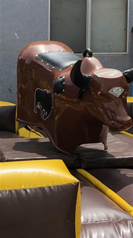 Mechanical bull 🐃 image 4
