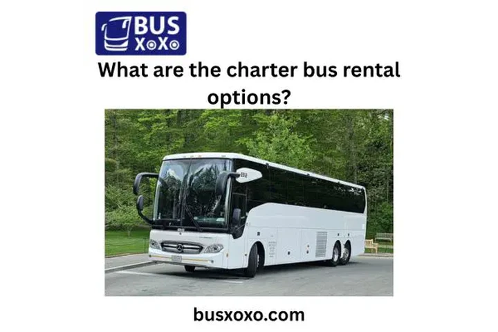 Charter Bus Rental Options image 1